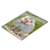 Grijze aap, Ape Macaque, Natuur, dierlijk wild Notitieboek (Linkerzijde)