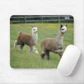 Grijze alpacas actief muismat (Met muis)