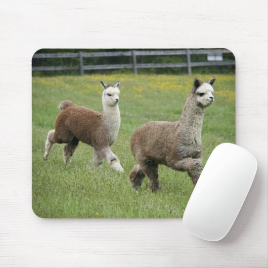 Grijze alpacas actief muismat (Met muis)