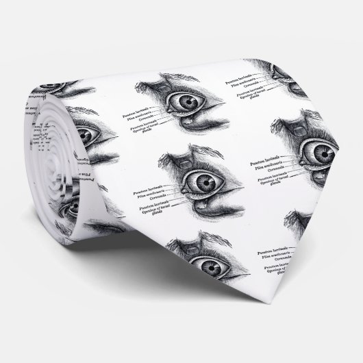 Grijze anatomie — oogbal stropdas (Opgerold)