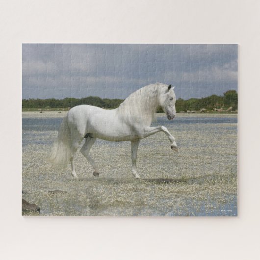 Grijze Andalucian Stallion op het meer Legpuzzel (Horizontaal)