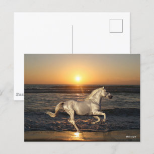 Grijze Andalusië met Zee op strand Briefkaart