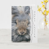 grijze angorakonijn voor Pasen Kaart (Gele Bloem)