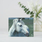 Grijze appelwijn in blote vorm briefkaart (Staand voorkant)