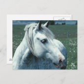 Grijze appelwijn in blote vorm briefkaart (Voorkant / Achterkant)