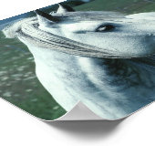 Grijze appelwijn in blote vorm poster (Hoek)