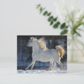 Grijze Arabisch met sneeuwststroom Briefkaart (Staand voorkant)