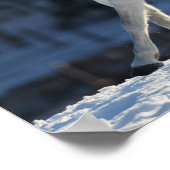 Grijze Arabisch met sneeuwststroom Poster (Hoek)