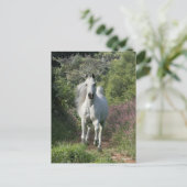 Grijze Arabisch op pad met bloemen Briefkaart (Staand voorkant)