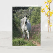 Grijze Arabisch op pad met bloemen Kaart (Gele Bloem)