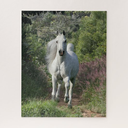 Grijze Arabisch op pad met bloemen Legpuzzel (Verticaal)