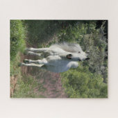 Grijze Arabisch op pad met bloemen Legpuzzel (Horizontaal)