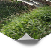 Grijze Arabisch op pad met bloemen Poster (Hoek)