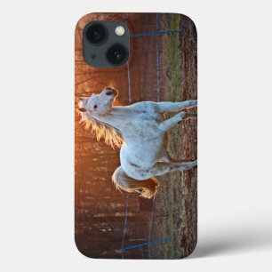 Grijze Arabische paard iPhone 13 Hoesje