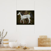 Grijze Arabische paard Poster (Keuken)