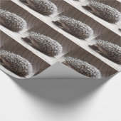 grijze baby egel cadeaupapier (Hoek)