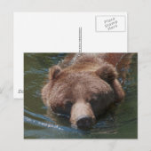 Grijze beer briefkaart (Voorkant / Achterkant)
