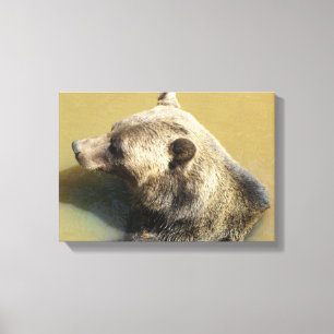 Grijze beer canvas afdruk