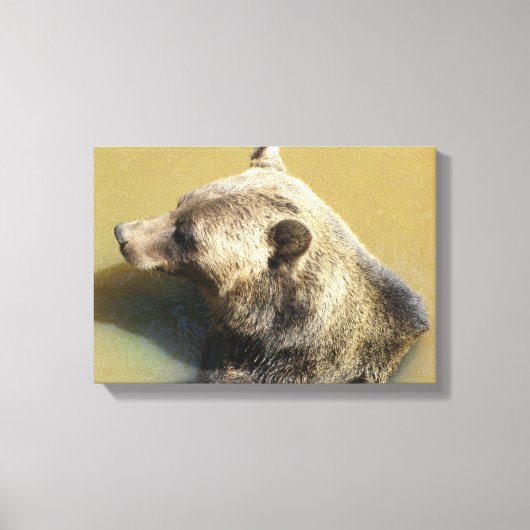 Grijze beer canvas afdruk (Voorkant)