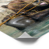 Grijze Beer in het water Poster (Hoek)