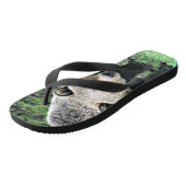 Grijze beer loopt in het bos teenslippers (Schuin)