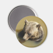 Grijze beer magneet (Voorkant / Achterkant)