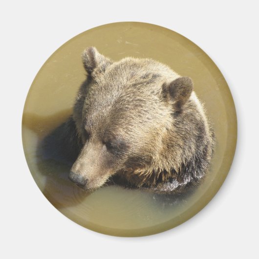 Grijze beer magneet (Voorkant)