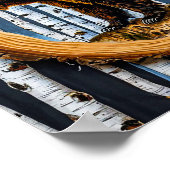 Grijze beer poster (Hoek)