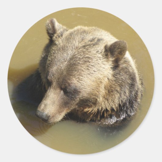 Grijze beer ronde sticker (Voorkant)