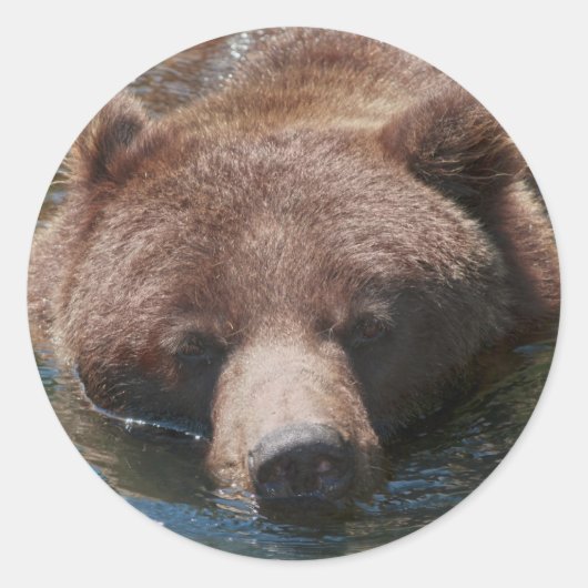 Grijze beer ronde sticker (Voorkant)