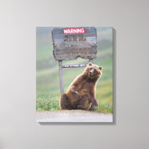 Grijze beer speelt met bord canvas afdruk
