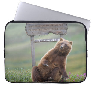 Grijze beer speelt met bord laptop sleeve
