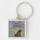 Grijze beer speelt met bord sleutelhanger (Voorkant)