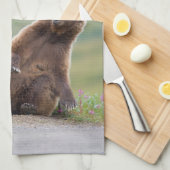 Grijze beer speelt met bord theedoek (Quarter Fold)