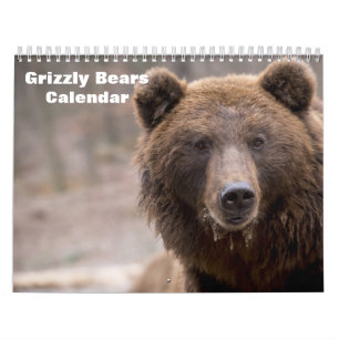 Grijze beren 2027 kalender