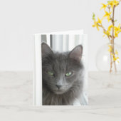 Grijze briefkaart (Gele Bloem)