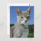 Grijze Briefkaart (Voorkant / Achterkant)