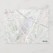 Grijze Briefkaart (Achterkant)