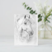 Grijze briefkaart van paardenvlees (Staand voorkant)