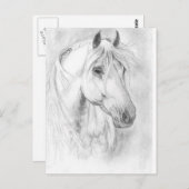 Grijze briefkaart van paardenvlees (Voorkant / Achterkant)