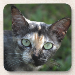 Grijze bruine kat met groene ogen bier onderzetter