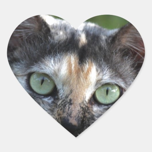 Grijze bruine kat met groene ogen hart sticker (Voorkant)