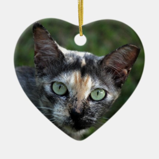 Grijze bruine kat met groene ogen keramisch ornament (Voorkant)