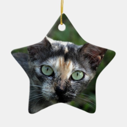 Grijze bruine kat met groene ogen keramisch ornament (Voorkant)