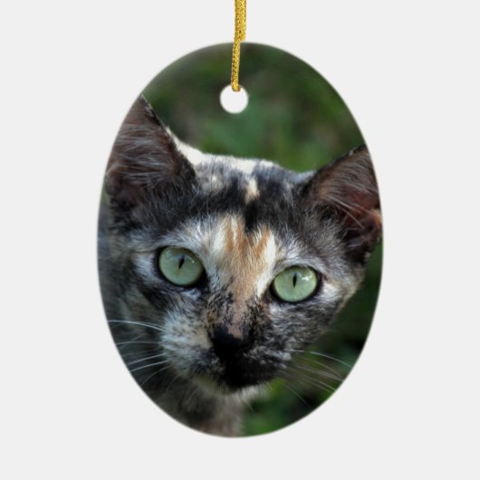 Grijze bruine kat met groene ogen keramisch ornament (Voorkant)