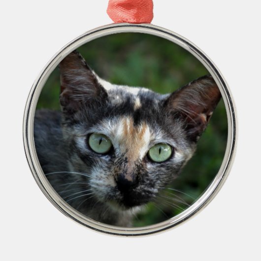 Grijze bruine kat met groene ogen metalen ornament (Voorkant)