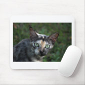 Grijze bruine kat met groene ogen muismat (Met muis)