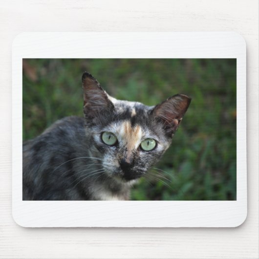 Grijze bruine kat met groene ogen muismat (Voorkant)