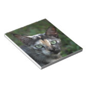 Grijze bruine kat met groene ogen notitieblok (Schuin)