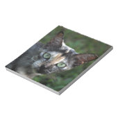 Grijze bruine kat met groene ogen notitieblok (Linkerzijde)